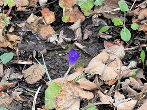 Interessanter Rundgang im Stadtpark