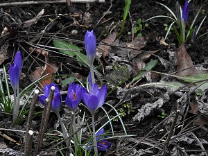 Interessanter Rundgang im Stadtpark