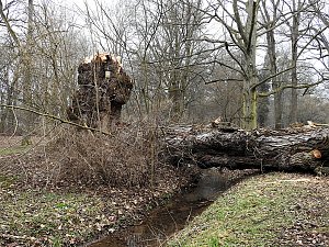 Interessanter Rundgang im Stadtpark