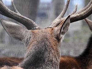 Interessanter Rundgang im Stadtpark