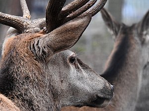 Interessanter Rundgang im Stadtpark
