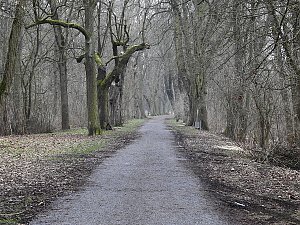 Interessanter Rundgang im Stadtpark