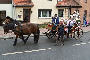 Frankenhusen alle mohl