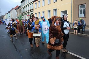 Rosenmontagsumzug in Sondershausen (1)