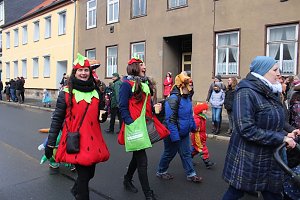 Rosenmontagsumzug in Sondershausen (2) 