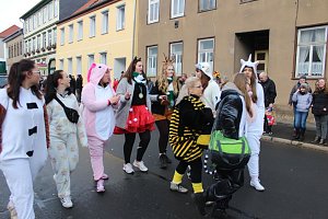 Rosenmontagsumzug in Sondershausen (2) 