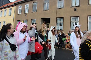 Rosenmontagsumzug in Sondershausen (2) 