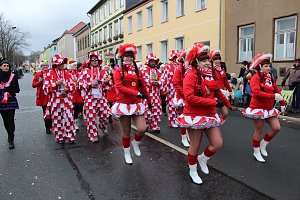 Rosenmontagsumzug in Sondershausen (2) 