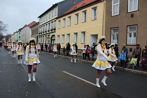 Rosenmontagsumzug in Sondershausen (2) 