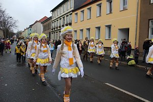 Rosenmontagsumzug in Sondershausen (2) 