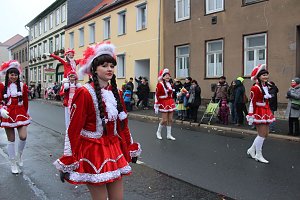 Rosenmontagsumzug in Sondershausen (2) 