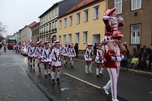 Rosenmontagsumzug in Sondershausen (2) 