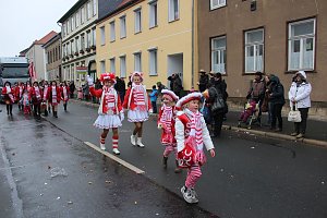 Rosenmontagsumzug in Sondershausen (2) 