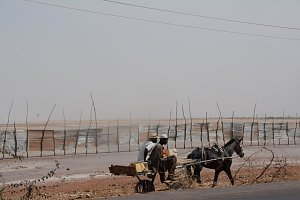Von Nordhausen nach Gambia - die "Nordh&auml;user W&uuml;stenf&uuml;chse" unterwegs