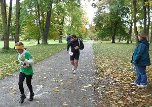 16. Stadtparklauf