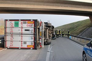 Brummi umgekippt