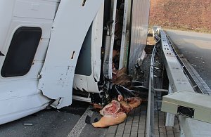 Brummi umgekippt