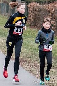 40. Albert-Kuntz-Lauf