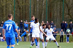 Wacker gewinnt 6:1 gegen Luckenwalde