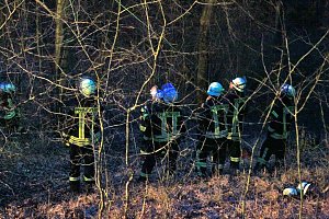 Gleitschirmflieger auf Baum