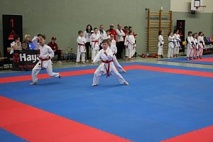 Titel und Medaillen beim Karate