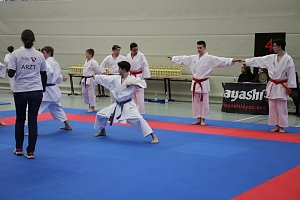 Titel und Medaillen beim Karate