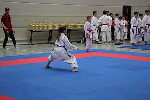 Titel und Medaillen beim Karate