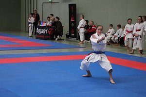 Titel und Medaillen beim Karate
