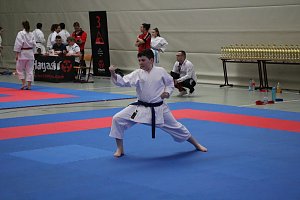 Titel und Medaillen beim Karate