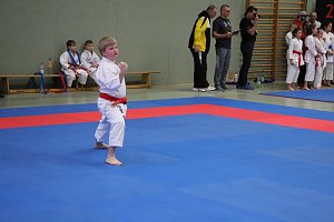 Titel und Medaillen beim Karate