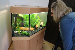 Startschuss f&uuml;r die "Gartenkinder", Bleicherodes neuer Kindergarten wurde offiziell &uuml;bergeben