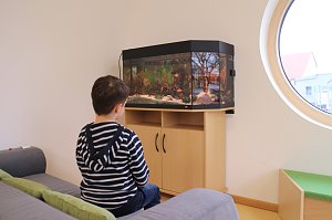 Startschuss f&uuml;r die "Gartenkinder", Bleicherodes neuer Kindergarten wurde offiziell &uuml;bergeben