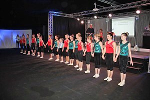 Schauprogramm, Ehrenamtspreise und mehr bei Sportgala