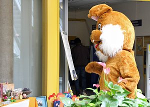 Osterhase holte sich kalte F&uuml;&szlig;e