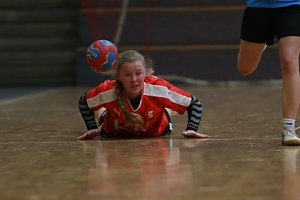Bilder vom Handballwochenende