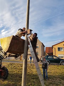 Anbau Nistk&auml;sten, Ankunft St&ouml;rche auf neuen Nestern