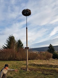 Anbau Nistk&auml;sten, Ankunft St&ouml;rche auf neuen Nestern