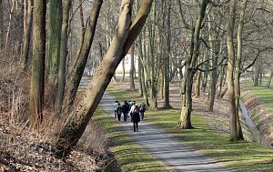 Auf dem Weg zum Olymp