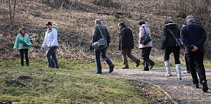 Auf dem Weg zum Olymp