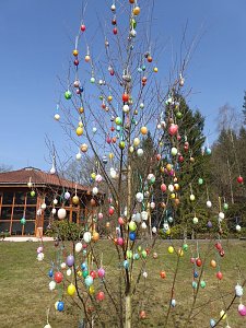 Osterbaum in S&uuml;lzhayn geschm&uuml;ckt