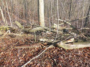 Osterspaziergang zum Spatenbergturm