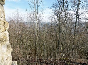 Osterspaziergang zum Spatenbergturm