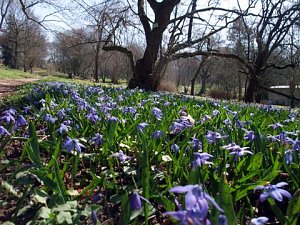 Fr&uuml;hling im Park Hohenrode