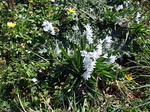 Fr&uuml;hling im Park Hohenrode