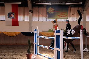 Hoffest und Reitturnier in Wollersleben