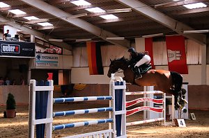 Hoffest und Reitturnier in Wollersleben