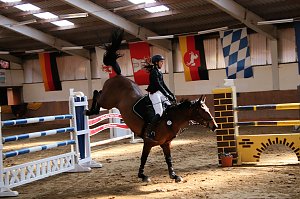 Hoffest und Reitturnier in Wollersleben