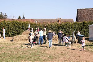 Hoffest und Reitturnier in Wollersleben
