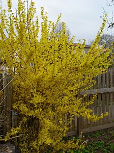 Natur erbl&uuml;ht in bunten Farben