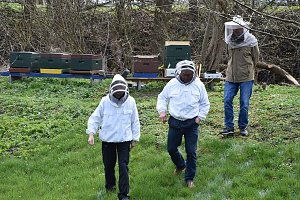 Wellness f&uuml;r die Bienen